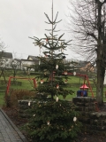 Weihnachtsbaum Dorfplatz 2019
