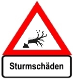 Beispielbild Sturm umgefallener Baum